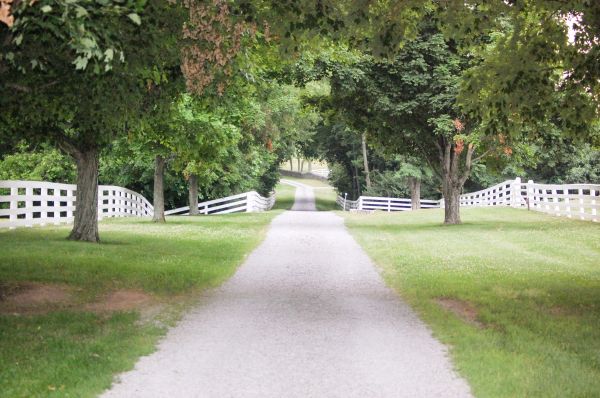 Gravel Driveway Construction in Ringgold
