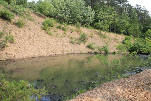 Pond Erosion Repair in Ringgold
