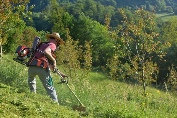 Cost of Slope Trimming in Ringgold